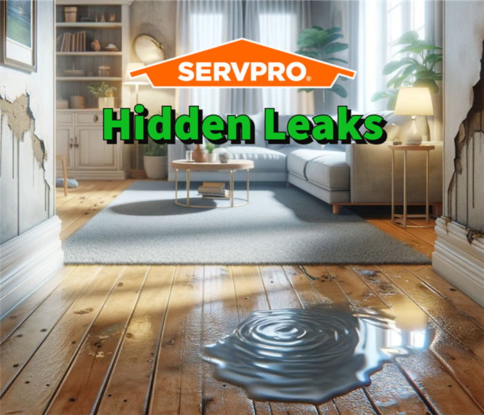 A leak inside an Athens home. 
