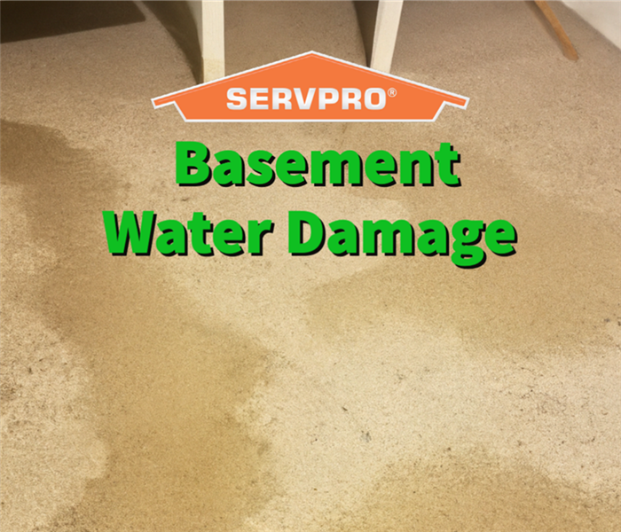 Basement water damage in a Athens home.