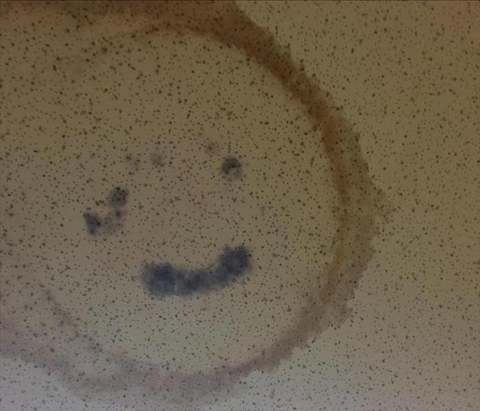 Water stain and black mold on the ceiling that looks like a smiley face.